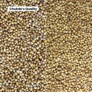 Chukde dhania comparison